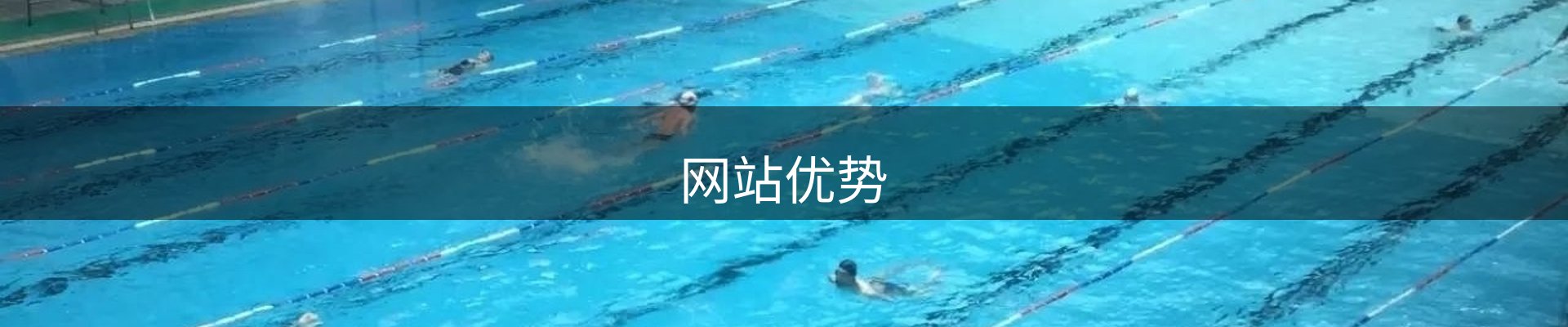 网站优势